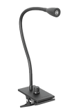 SWAN IV - MAGG